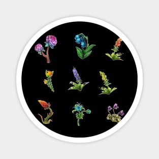 BOTW flowers Magnet